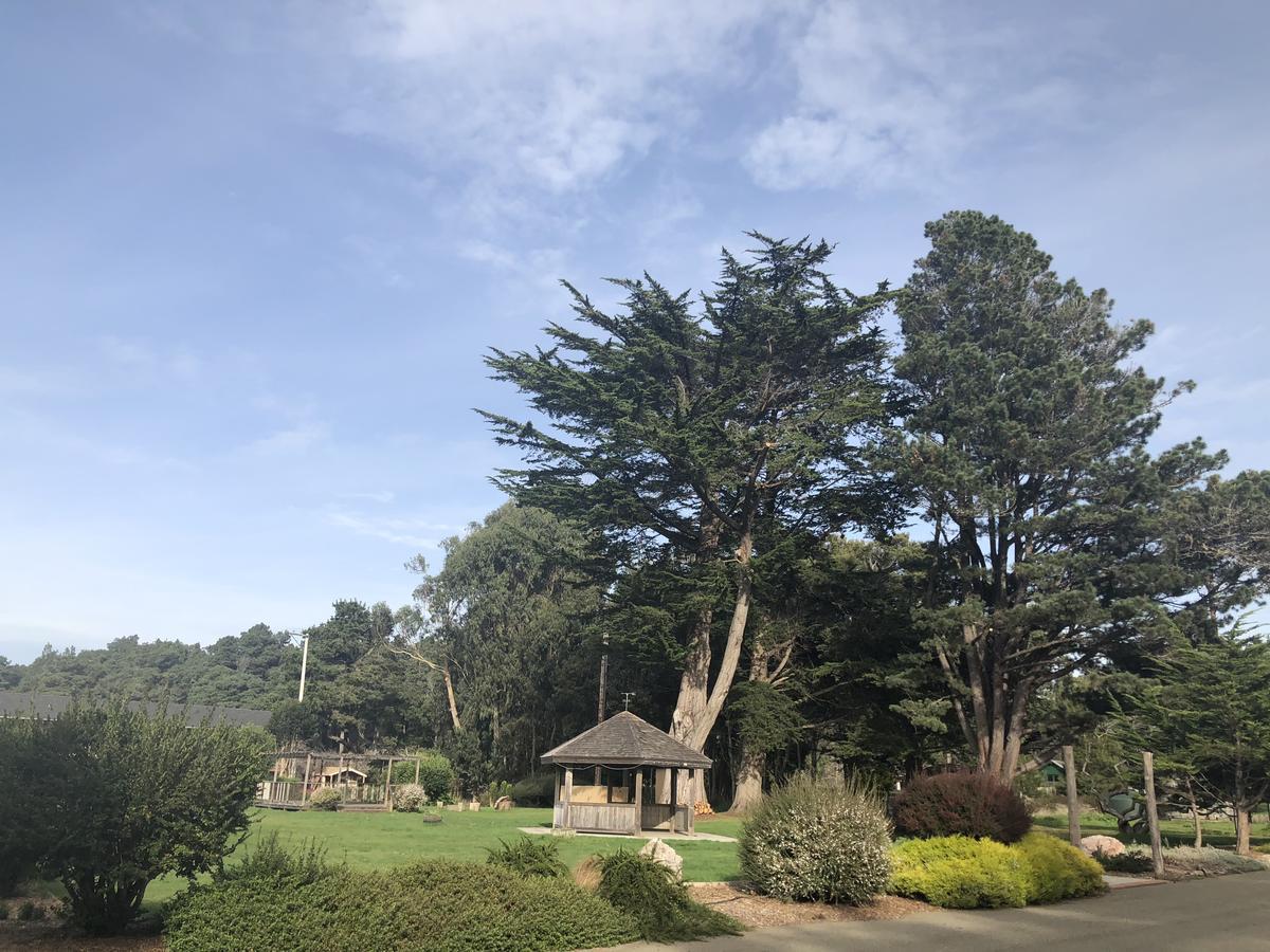 Pine Beach Inn Fort Bragg Dış mekan fotoğraf