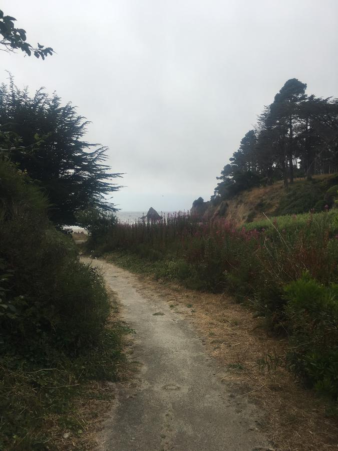 Pine Beach Inn Fort Bragg Dış mekan fotoğraf