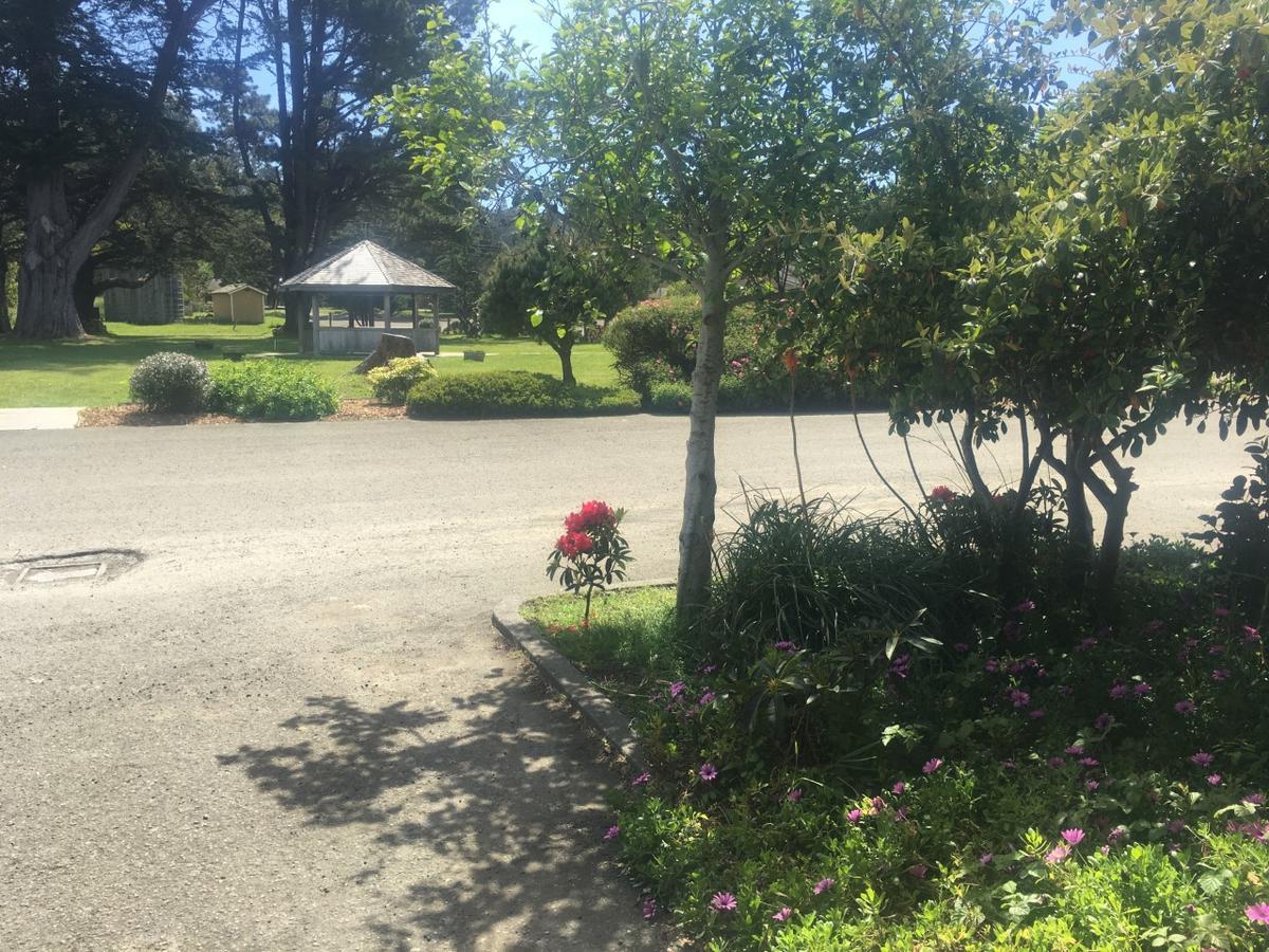 Pine Beach Inn Fort Bragg Dış mekan fotoğraf